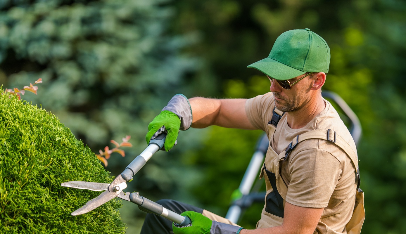 Reinigungsarbeiten mit modernen Geräten